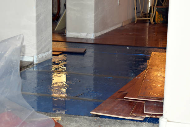 Professional Basement Water Removal technician working in Ellinger, TX